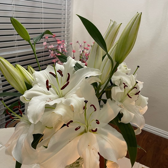 Meet your Posher, Nhung - Picture 1 of 1